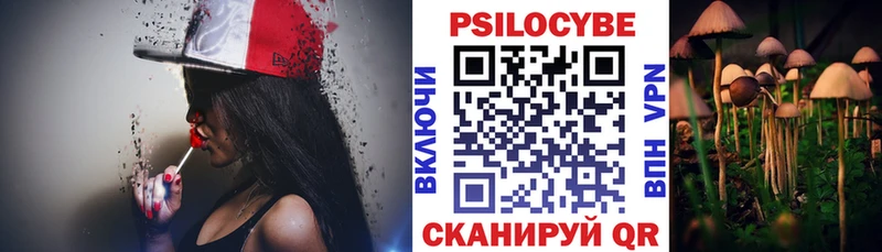 Галлюциногенные грибы Cubensis  цены   Мичуринск 