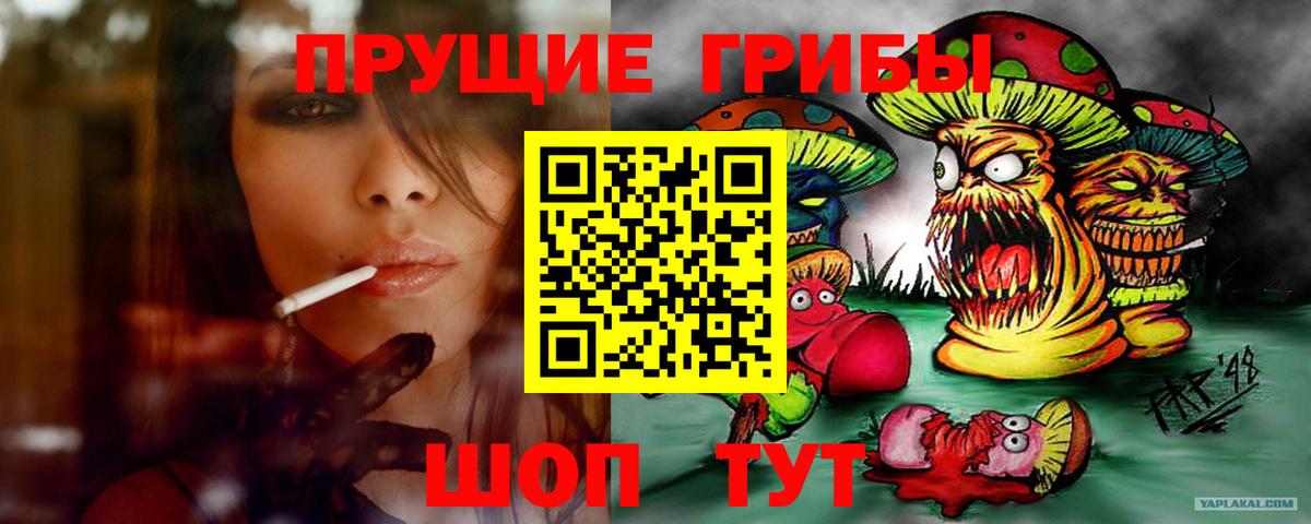 цены наркотик  Галлюциногенные грибы Magic Shrooms  Вход с VPN  Мичуринск 