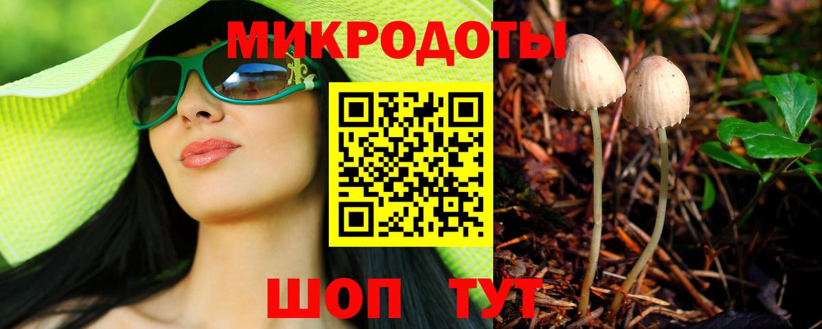 Псилоцибиновые грибы мухоморы Мичуринск
